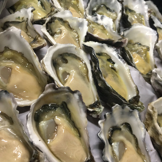 Premium Shucked Rock Oysters 1 Dozen