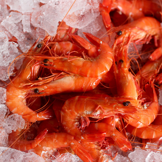 Fresh Australian Large Tiger Prawns 1Kg